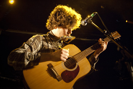 the wombats